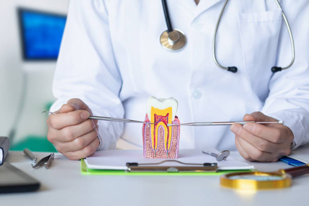 Best After-Hours Emergency Dentist in Markle, IN